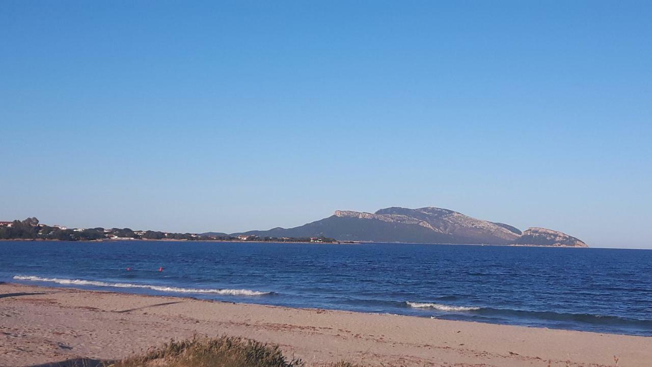 Vacanze Tavolara Ferienhaus *